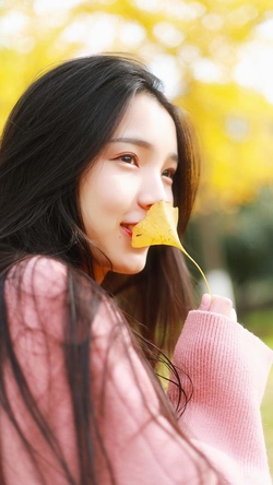 午夜在线官方下载二维码